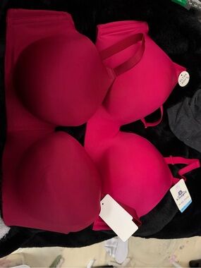 Wacoal Bright Fuchsia & burgundy Seamless Molded T-Shirt bras.